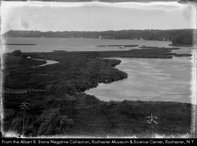 Wetlands Near Irondequoit Bay